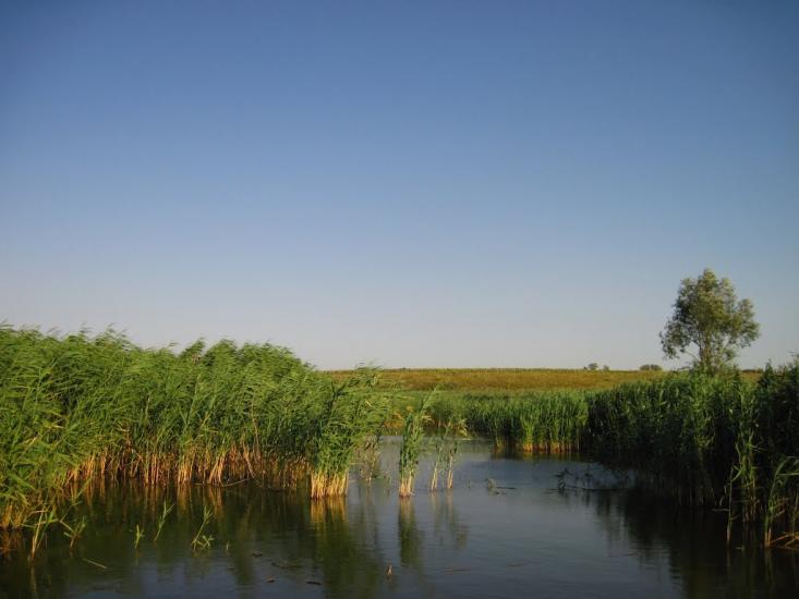 Григорівка з panoramio.com - Григоровка