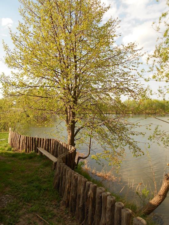 Комсомольське з panoramio.com - Комсомольське