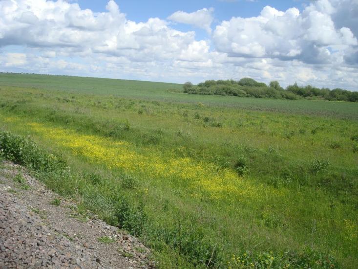 Ясенівка з panoramio.com - Ясеновка