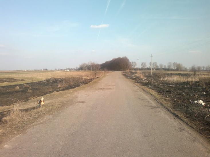 Бабина з panoramio.com - Бабина