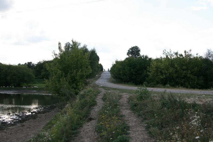 Педоси з panoramio.com - Pedosy