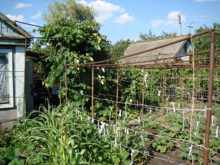 Градениці з panoramio.com - Градениці