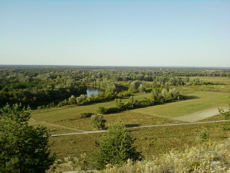 Крива Лука з panoramio.com - Крива Лука