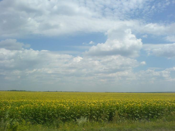 Ладижинка з panoramio.com - Ладыжинка