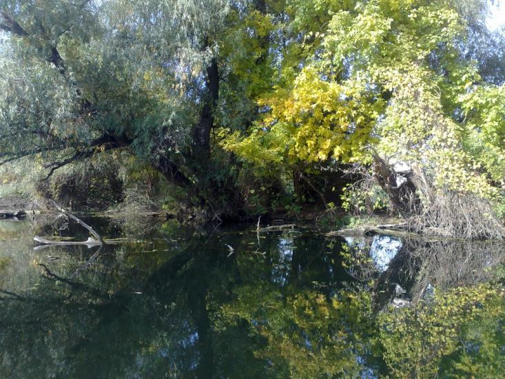 Стара Некрасівка з panoramio.com - Стара Некрасівка