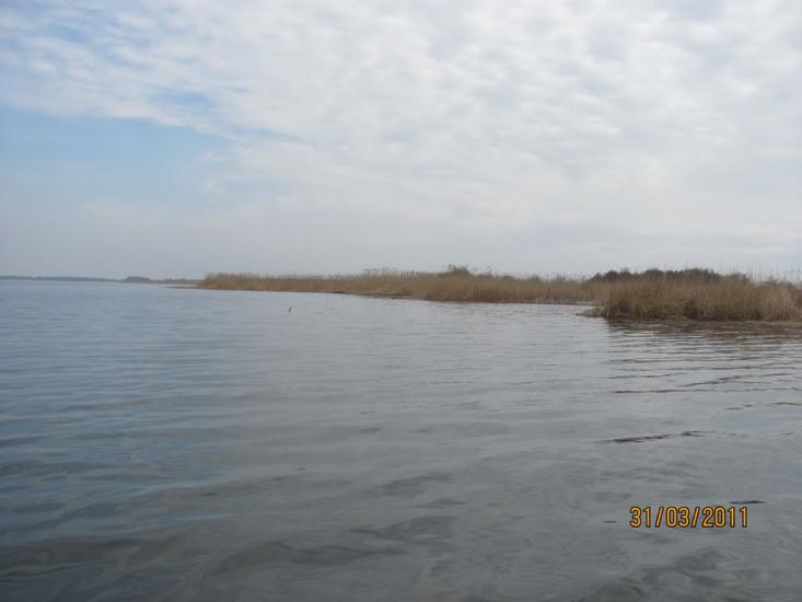 Кардашинка з panoramio.com - Кардашинка