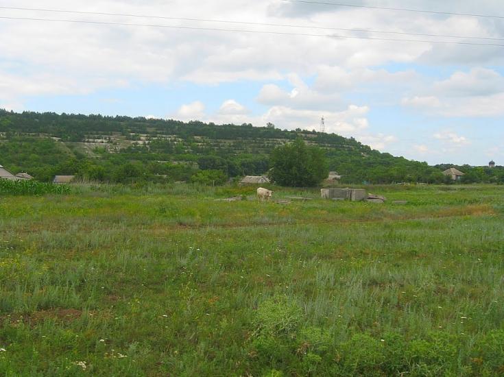 Городище з panoramio.com - Городище