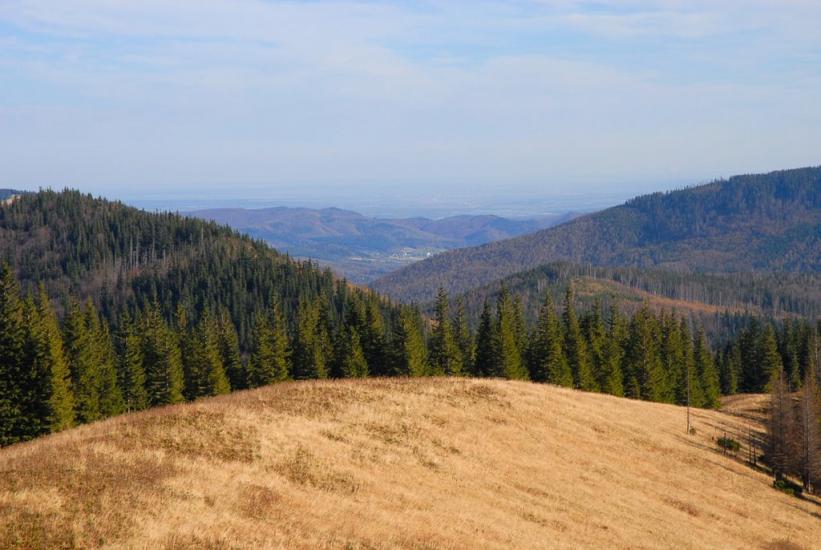 Мислівка з panoramio.com - Мысливка