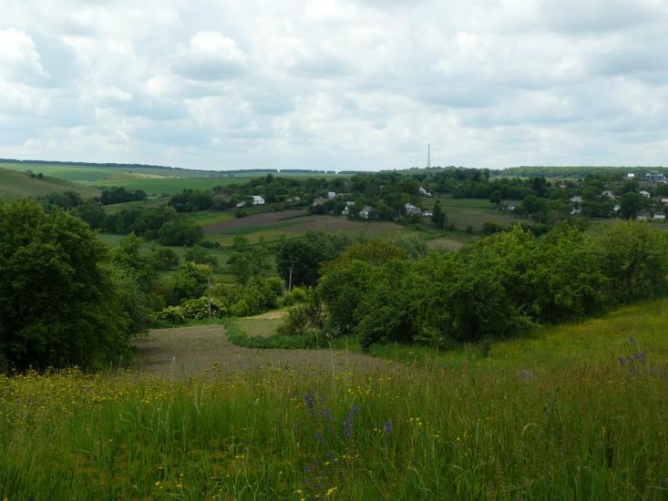 Сніжки з panoramio.com - Сніжки