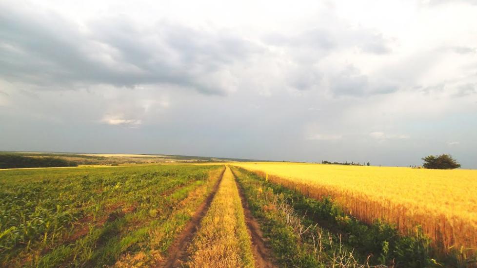 Куріпчине з panoramio.com - Куріпчине