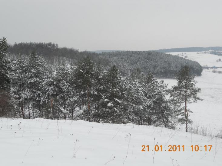 Могриця з panoramio.com - Mogrytsya