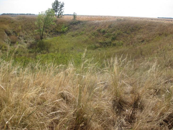 Хрещате з panoramio.com - Хрещатое