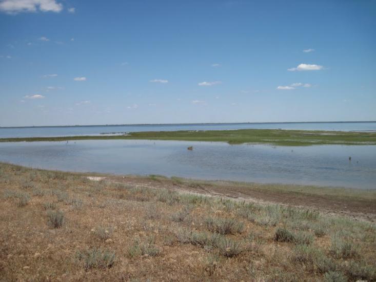 Хорли з panoramio.com - Хорлы