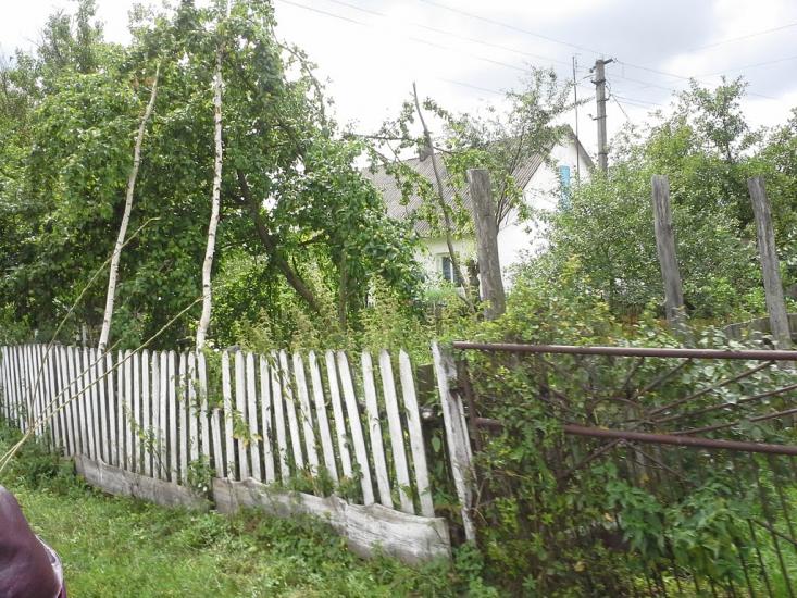 Сошники з panoramio.com - Сошники