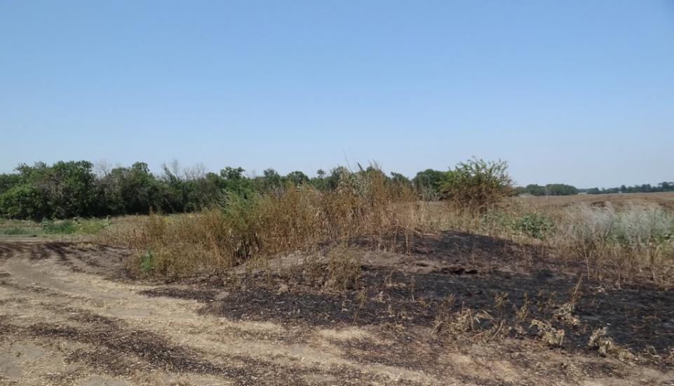 Балки з panoramio.com - Балки