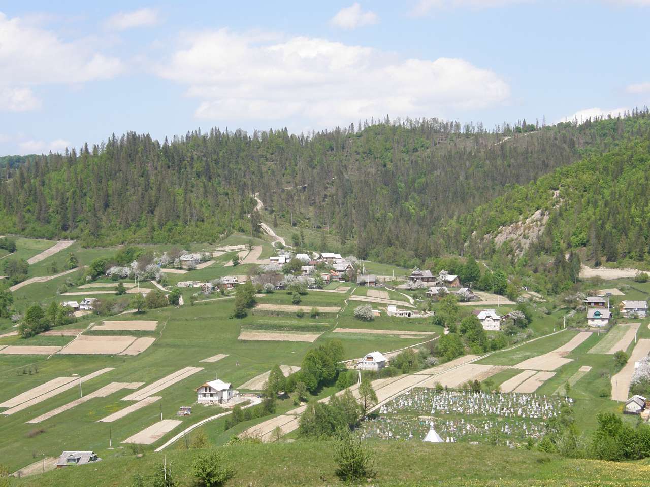 Чорний Потік - Чорний Потік