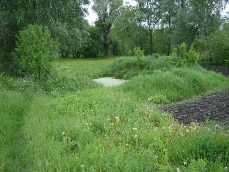 Вербівка з panoramio.com - Вербовка