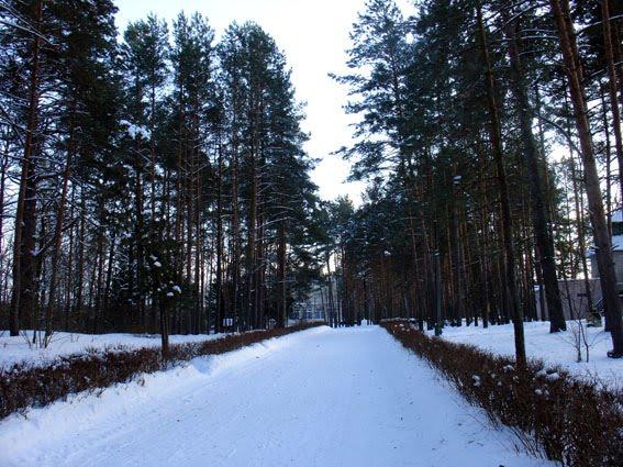 Скиток з panoramio.com - Скиток