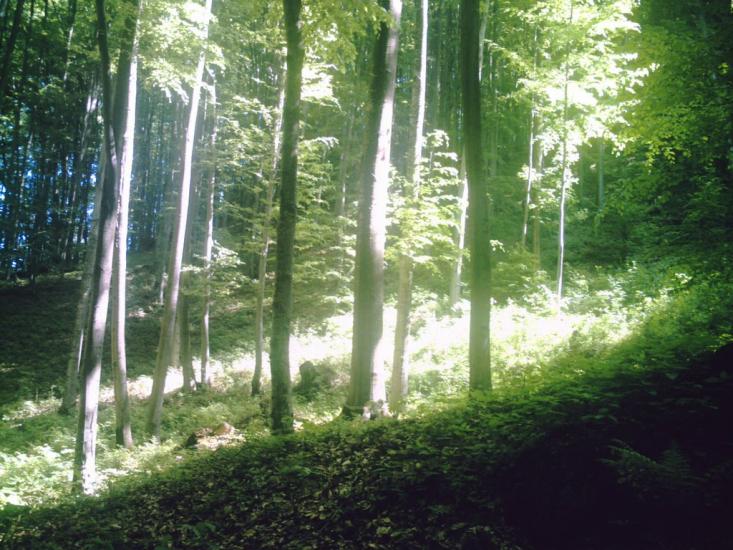 Яблунівка з panoramio.com - Яблоновка