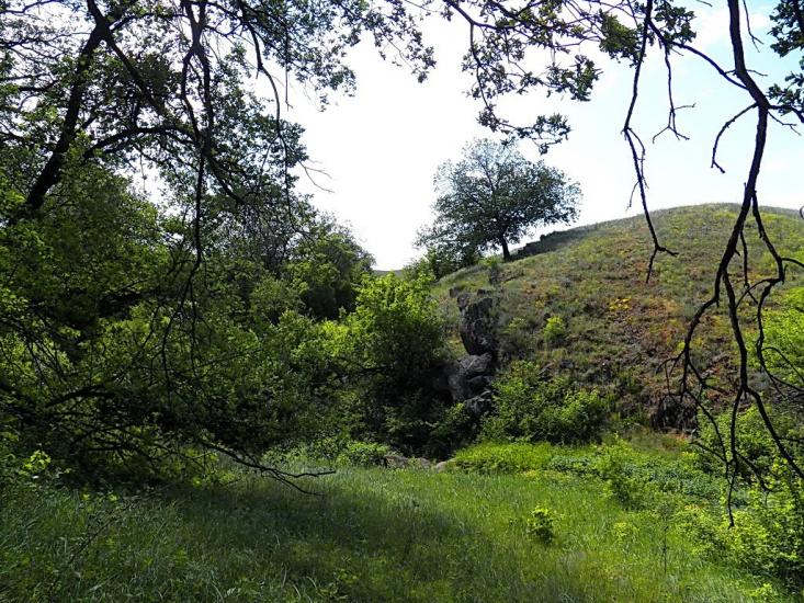 Данилове з panoramio.com - Danylove