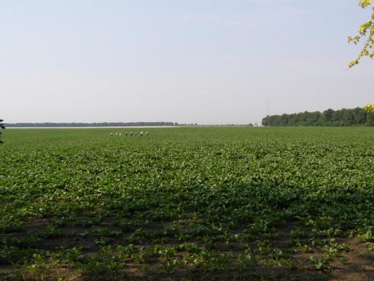 Пінчуки з panoramio.com - Пинчуки