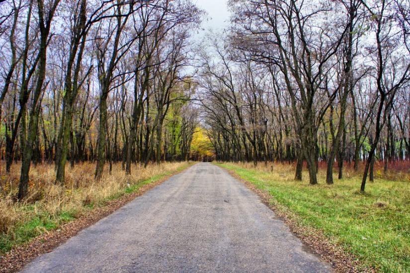 Юнокомунарівськ з panoramio.com - Юнокомунаровск