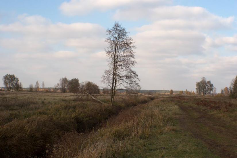 Гута-Межигірська з panoramio.com - Гута-Межигорская
