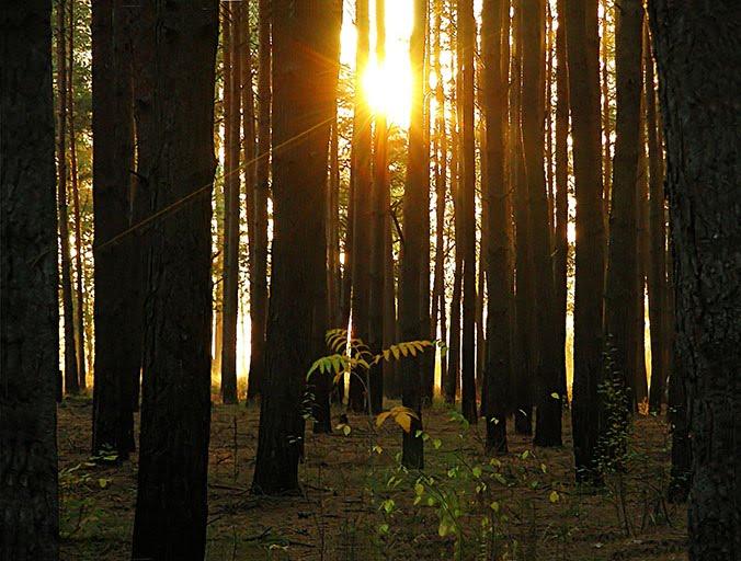Красноград з panoramio.com - Krasnograd
