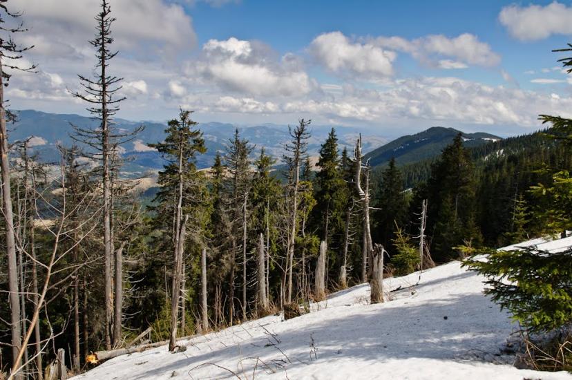 Кривопілля з panoramio.com - Кривопілля