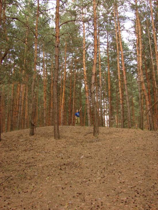 Борова з panoramio.com - Борова