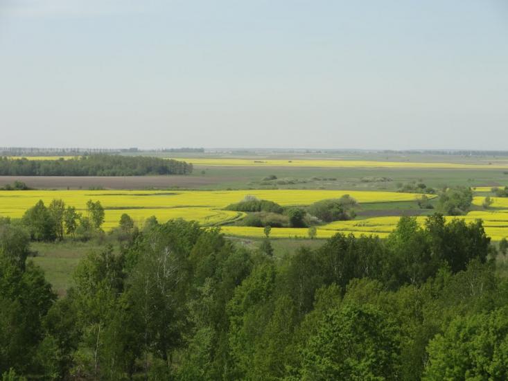 Веселе з panoramio.com - Веселе