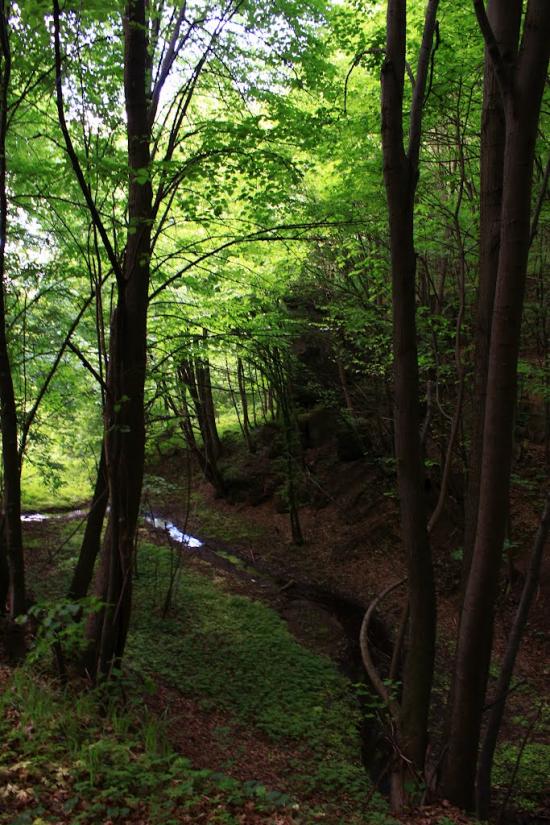 Головенка з panoramio.com - Головенка