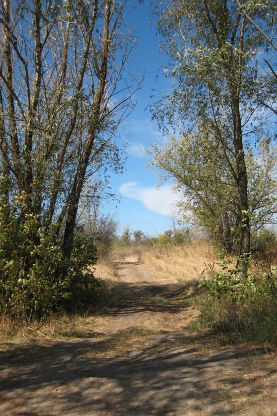 Піщане з panoramio.com - Pischane