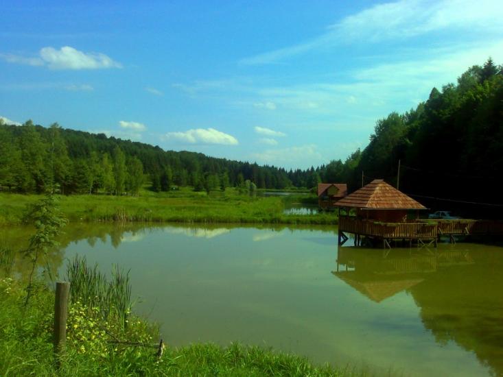 Банилів-Підгірний з panoramio.com - Банилів-Підгірний