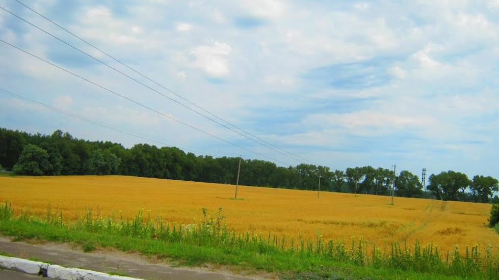 Залісся з panoramio.com - Залісся