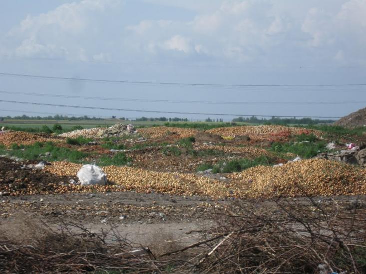 Завітне з panoramio.com - Завітне