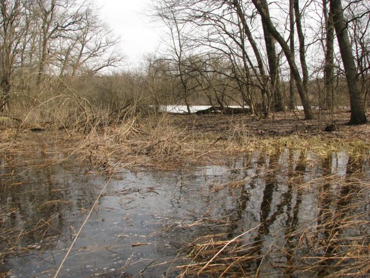 Підлісне з panoramio.com - Pidlisne