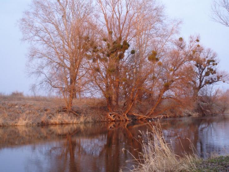 Синичине з panoramio.com - Synychyne