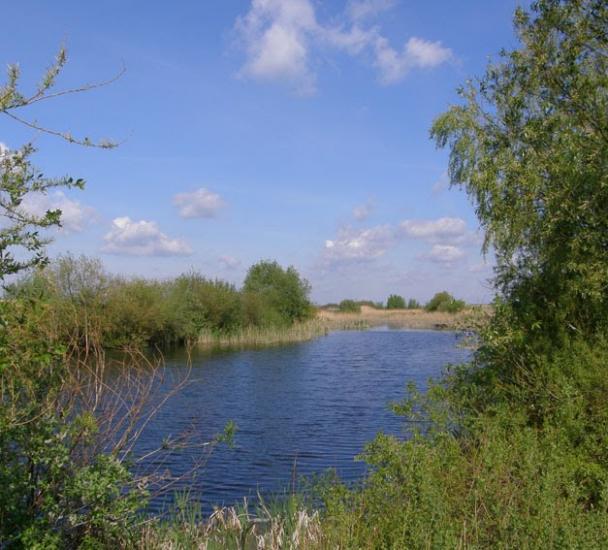 Стаївка з panoramio.com - Stayivka