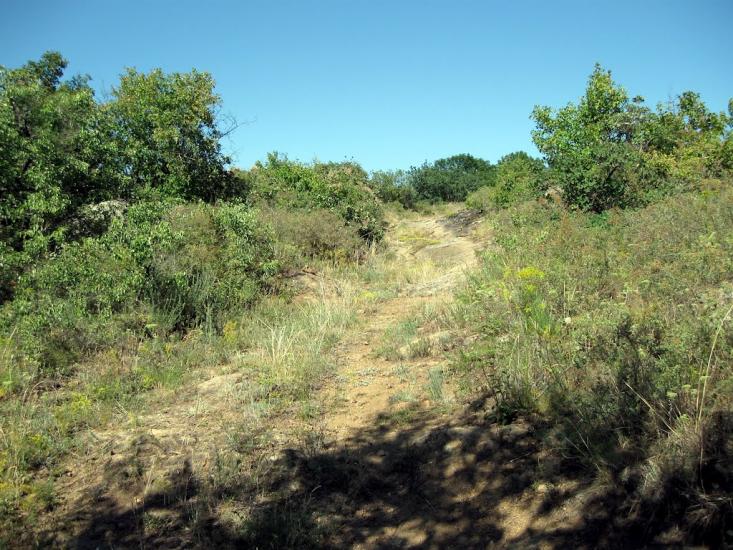 Куріпчине з panoramio.com - Kuripchyne