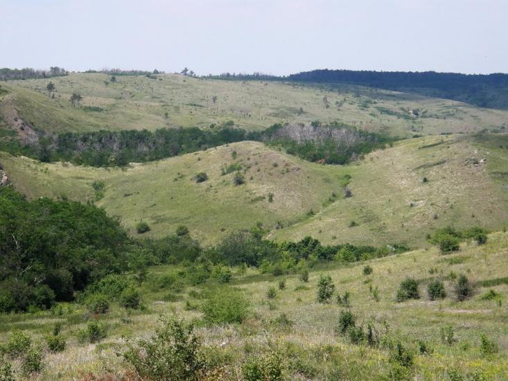 Киселеве з panoramio.com - Киселеве