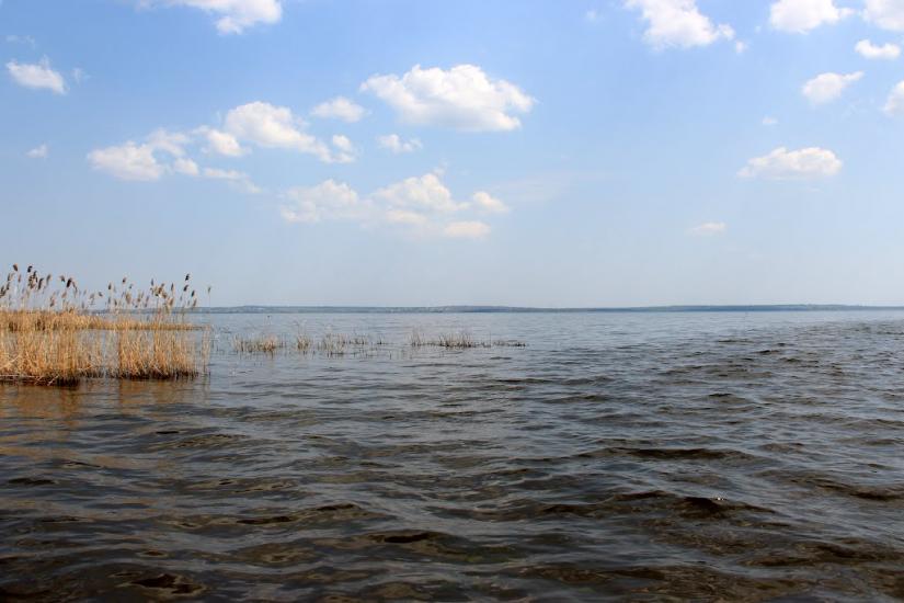 Лисогірка з panoramio.com - Лисогірка