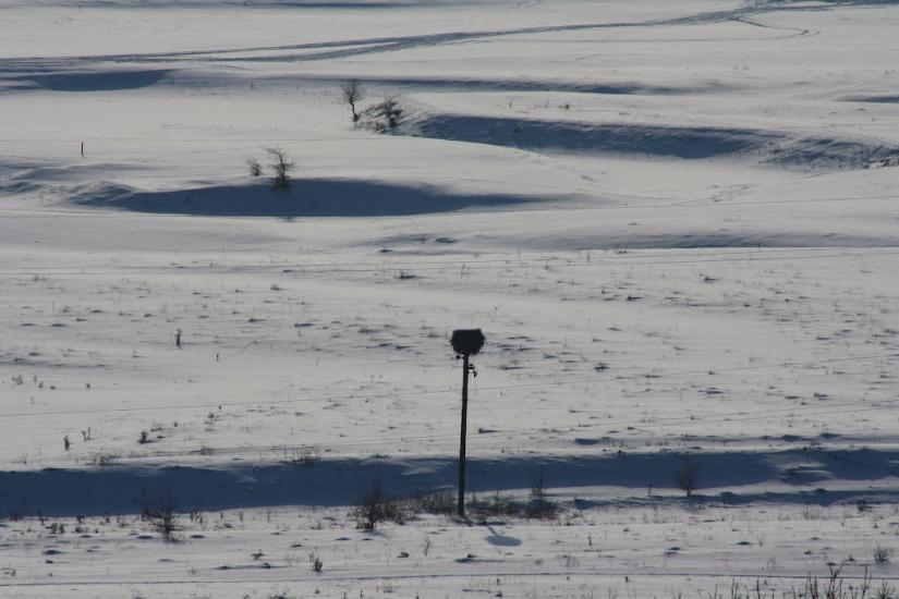 Книшівка з panoramio.com - Кнышовка