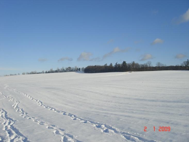 Мліїв з panoramio.com - Млиев