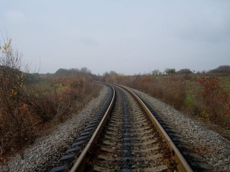 Вільхівчик з panoramio.com - Ольховчик