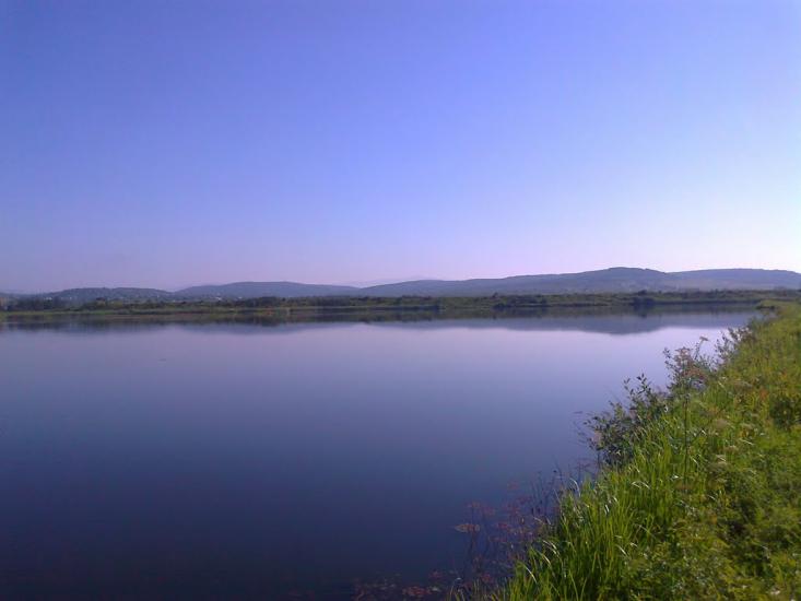 Боронява з panoramio.com - Боронява