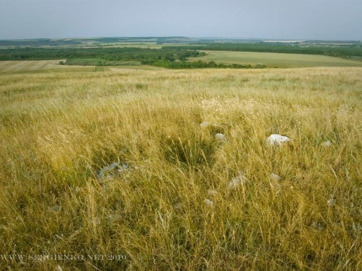 Красний Деркул з panoramio.com - Красный Деркул