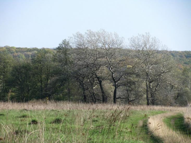 Морозівка з panoramio.com - Морозовка