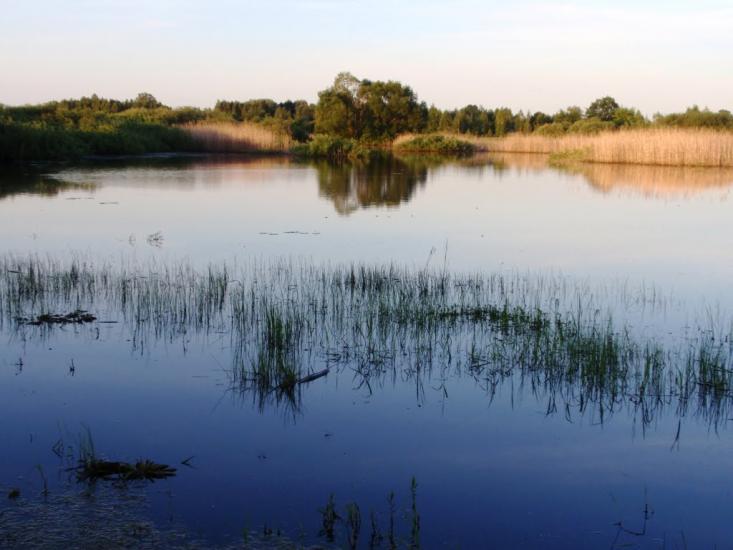 Неданчичі з panoramio.com - Неданчичи
