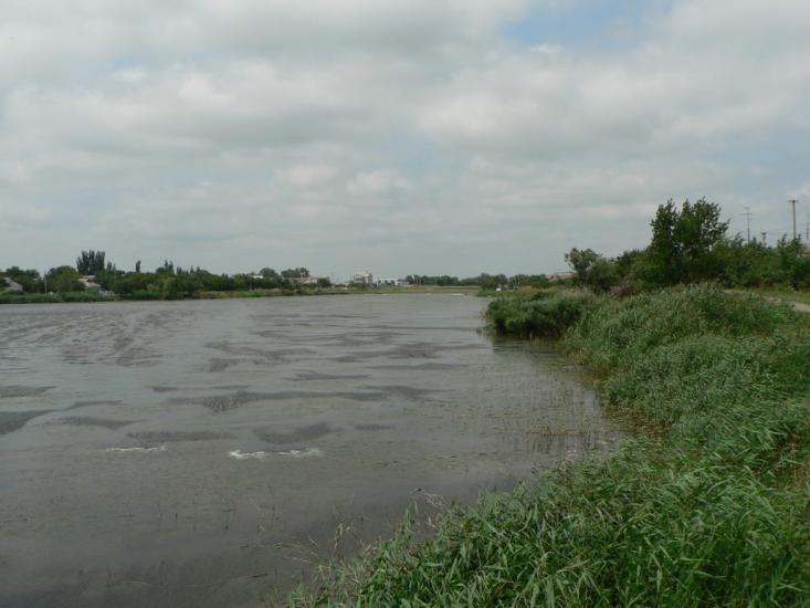 Баштанка з panoramio.com - Баштанка